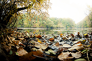 Jeseň na brehoch malého Dunaja