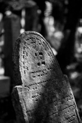 Jewish cemetery